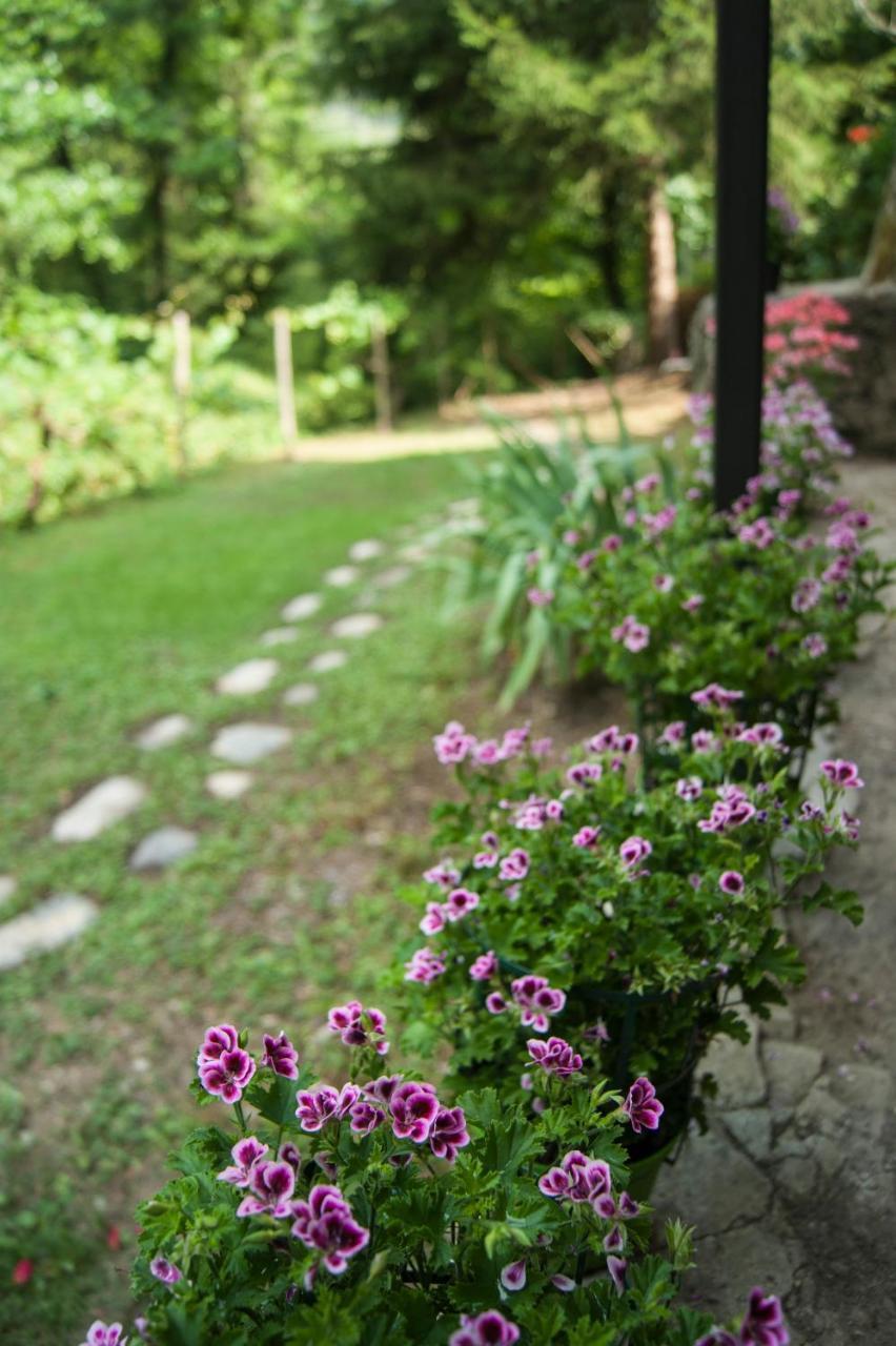 Secret Gardens Bed & Breakfast Borgomaro Exterior photo